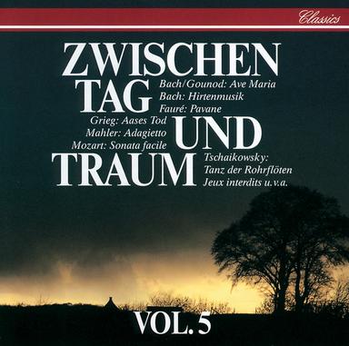 Serenade for String Orchestra in C Major, Op. 48, TH 48: II. Walzer: Moderato (Tempo di valse)