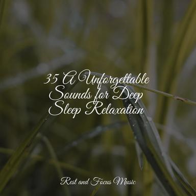 35 A Unforgettable Sounds for Deep Sleep Relaxation