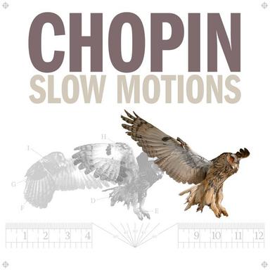 Preludes, Op. 28: No. 15, Sostenuto in D-Flat Major