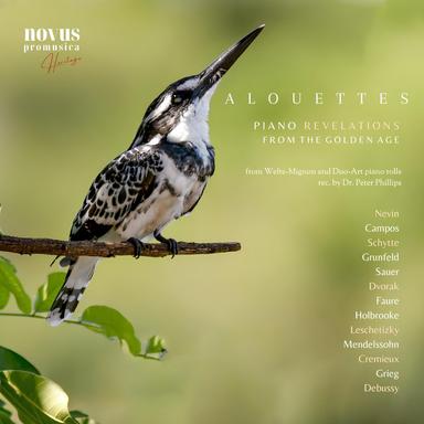 Impromptu No. 2, Op. 31 in F Minor - Duo-Art 5923