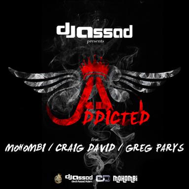 Addicted - Radio Edit