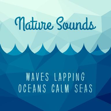 waves and birds