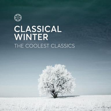 Études d'exécution transcendante, S. 139: XII. Chasse-neige