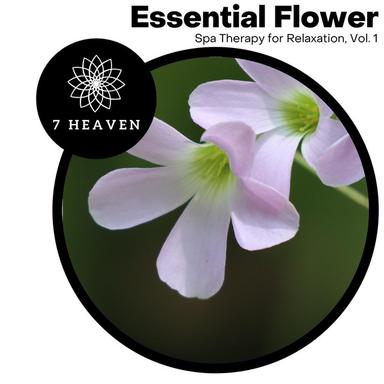 Ideal Soul - Original Mix