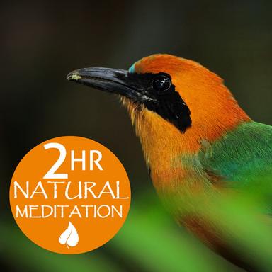 2 Hour Natural Meditation: Relaxing Music for Meditation & Yoga