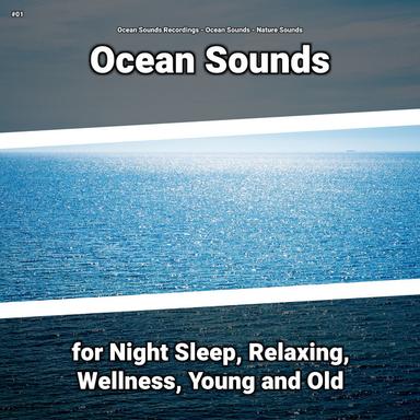 Ocean Sounds to Relax Your Brain