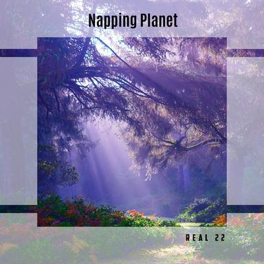 Delight - Radio Vrs.