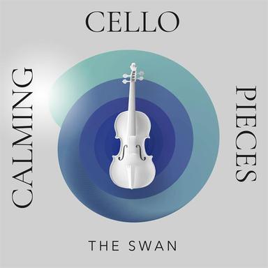 Arpeggione Sonata in A Minor, D. 821: II. Adagio