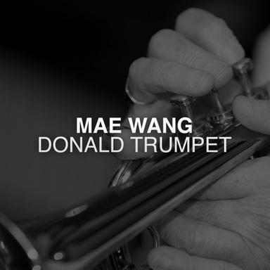 Donald Trumpet - Original Mix