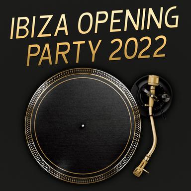 In the Sunlight - Bass House Mix