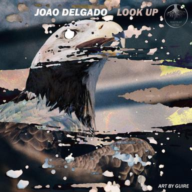 Look Up - Original mix