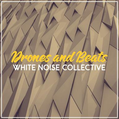 White Noise Waves with Birdsong