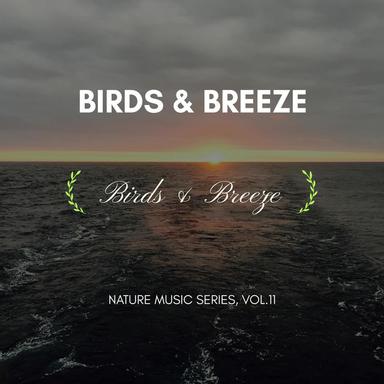 Melodic Nerves - Original Mix