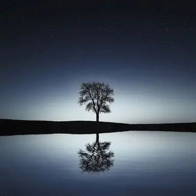 Sleep & Mindfulness