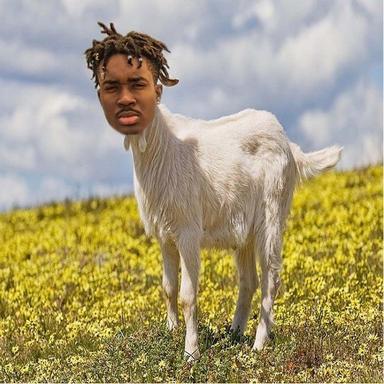 YC