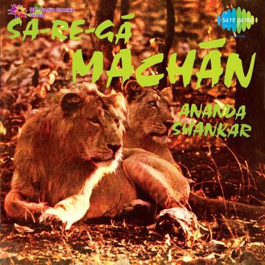 Jungle Symphony