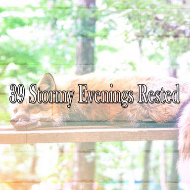 Echoes Of Rainy Day Thought