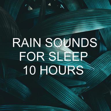 Soothing Sounds of Rain