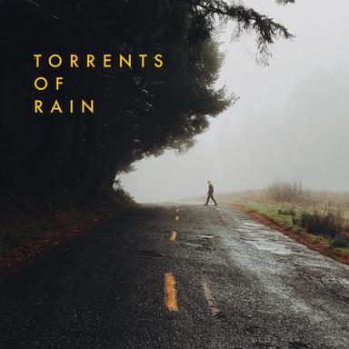 Cold Rain and Birds