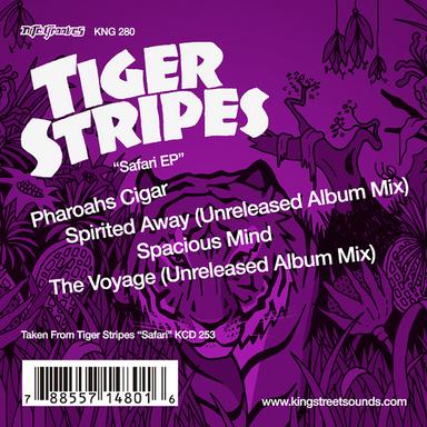 The Voyage - Album Mix