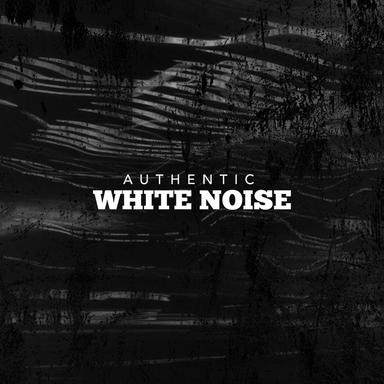 Strawberries and Roses