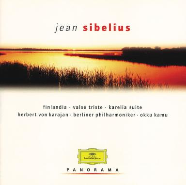 Violin Concerto in D Minor, Op. 47: II. Adagio di molto
