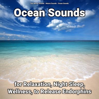 Ocean Sounds