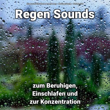 Regen für Dich