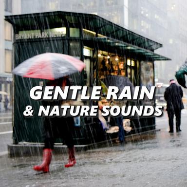 Gentle Rain & Nature Sounds