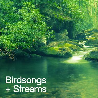 Country Birdsong