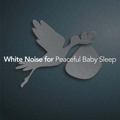 White Noise: Air Conditioner