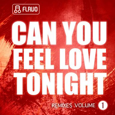 Can You Feel Love Tonight - Andy Sunshine Remix
