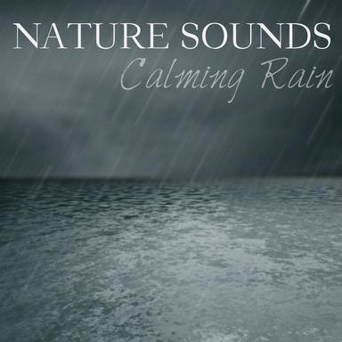 Soothing Rain