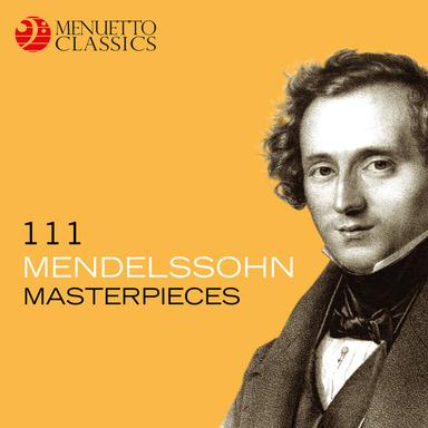 Violin Concerto in D Minor, MWV O 3: II. Andante