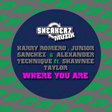 Where You Are (feat. Shawnee Taylor) - Steve Angello Edit