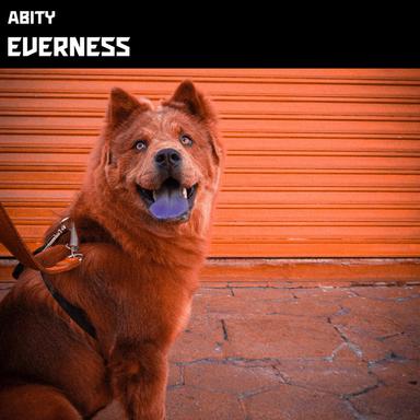 Everness