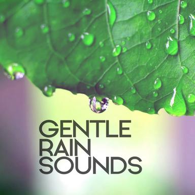 Gentle Afternoon Rain