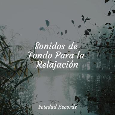 Las Olas Van Y Vienen
