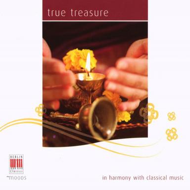 Concerto for Violin and Orchestra in E Minor, Op. 64: II. Andante cantabile