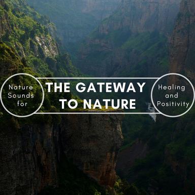 Water Dripping - Original Mix