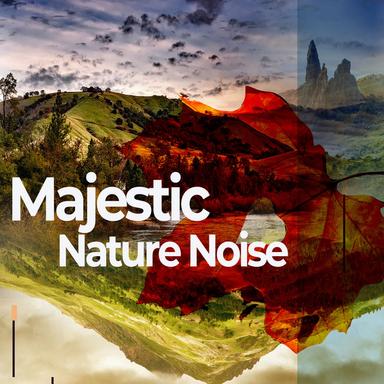 Light Downpour Birds