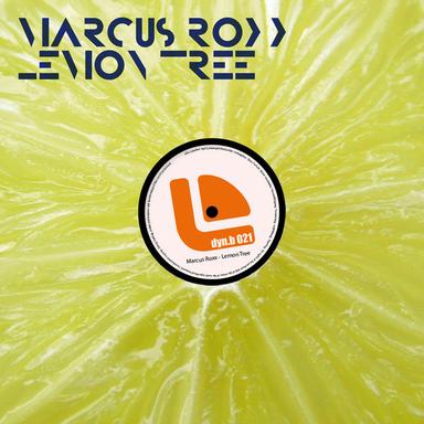 Lemon Tree (Melogize Long Mix)