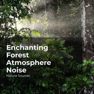 Riverside Spring Birds