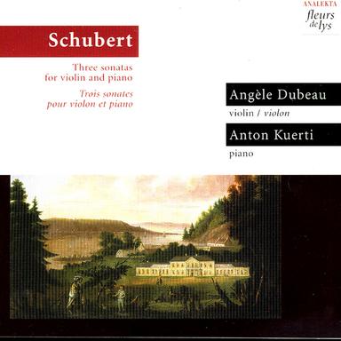 Sonata For Violin And Piano In D Major, D 384: III. Allegro Vivace