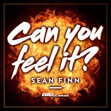 Can You Feel It - Radio Edit