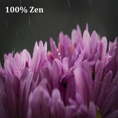 Driving Pouring Rain