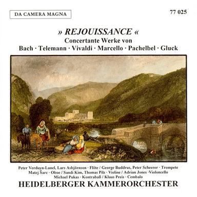 Oboe Concerto in D Minor, S. Z799: I. Andante