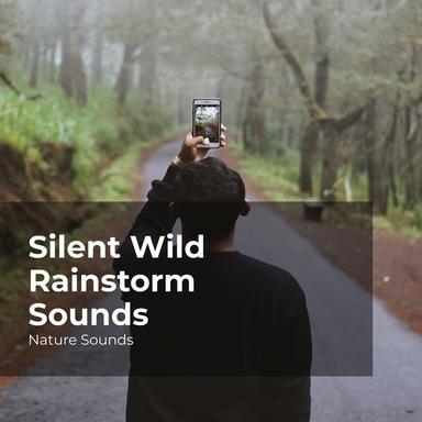 Silent Wild Rainstorm Sounds