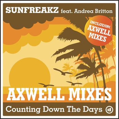 Counting Down The Days - Axwell Remix