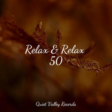 Meditative State of Mind